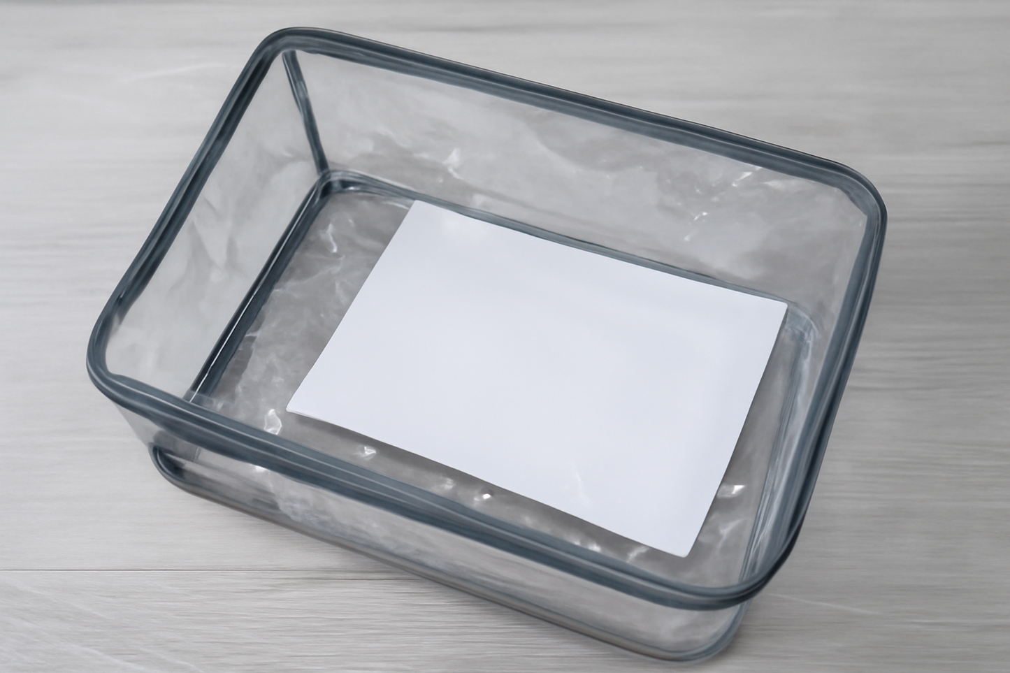 Transparent Saree Storage Bags – Pack of 2